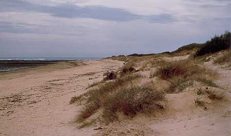 Vista de las dunas, playas de Rota