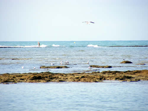 Playa de los Corrales