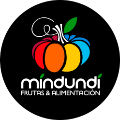 logo-mindundi