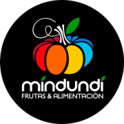 logo-mindundi