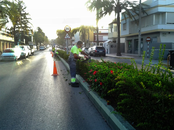 Trabajos de jardinería que mejoran la estética y la visibilidad en la avenida de la Marina